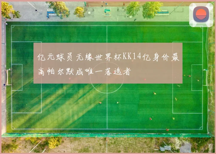 亿元球员无缘世界杯KK14亿身价最高帕尔默成唯一落选者