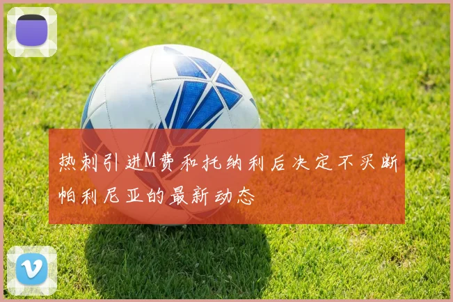 热刺引进M费和托纳利后决定不买断帕利尼亚的最新动态